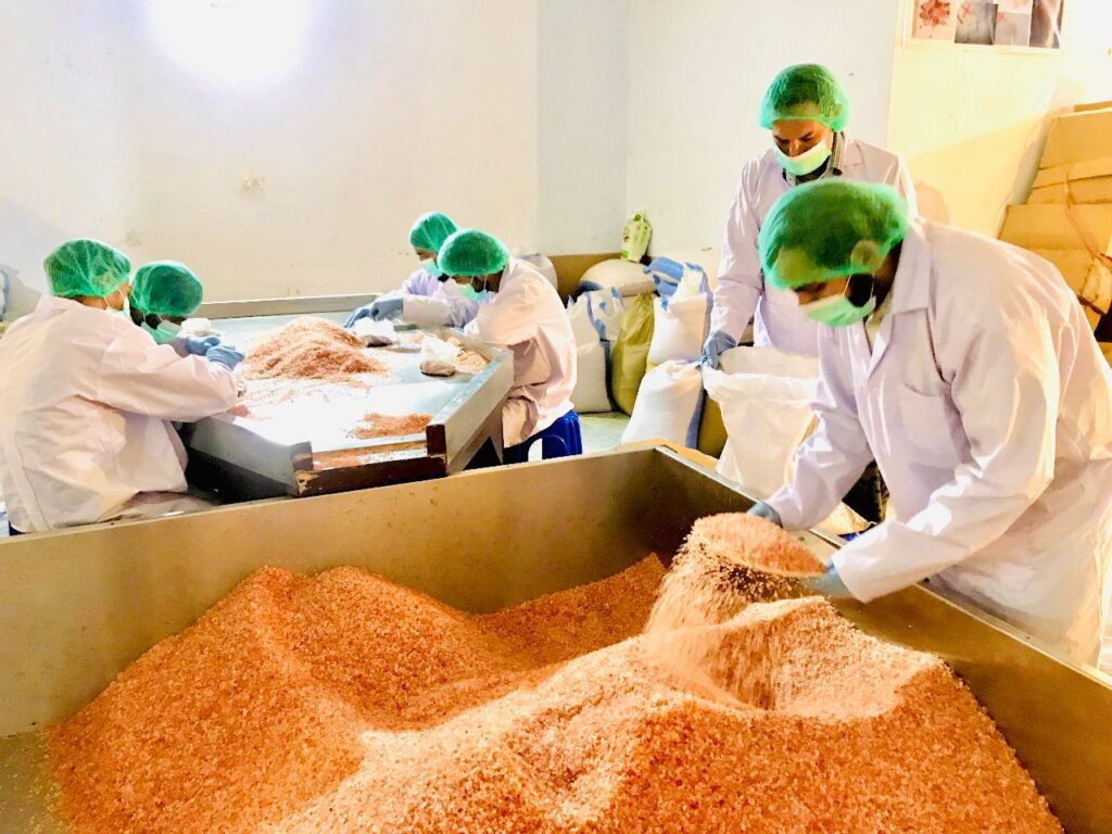 whatsapp image 2025 09 29 at 22.33.57 265e6104