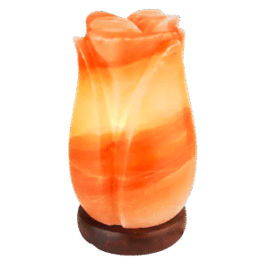 24ff406f 4808 4e50 a250 e823889d06c1