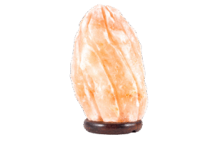 28f86c41 6a1f 4455 a1ac d036923b0885