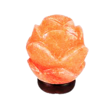 9a1b4088 bd7b 4d29 9ef4 d4465a2d41ee