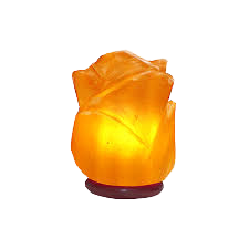 b1baa7ae e886 4077 8d49 4e5b7ef4c904