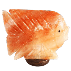 d6d01267 23a7 4125 a425 5be047a84697